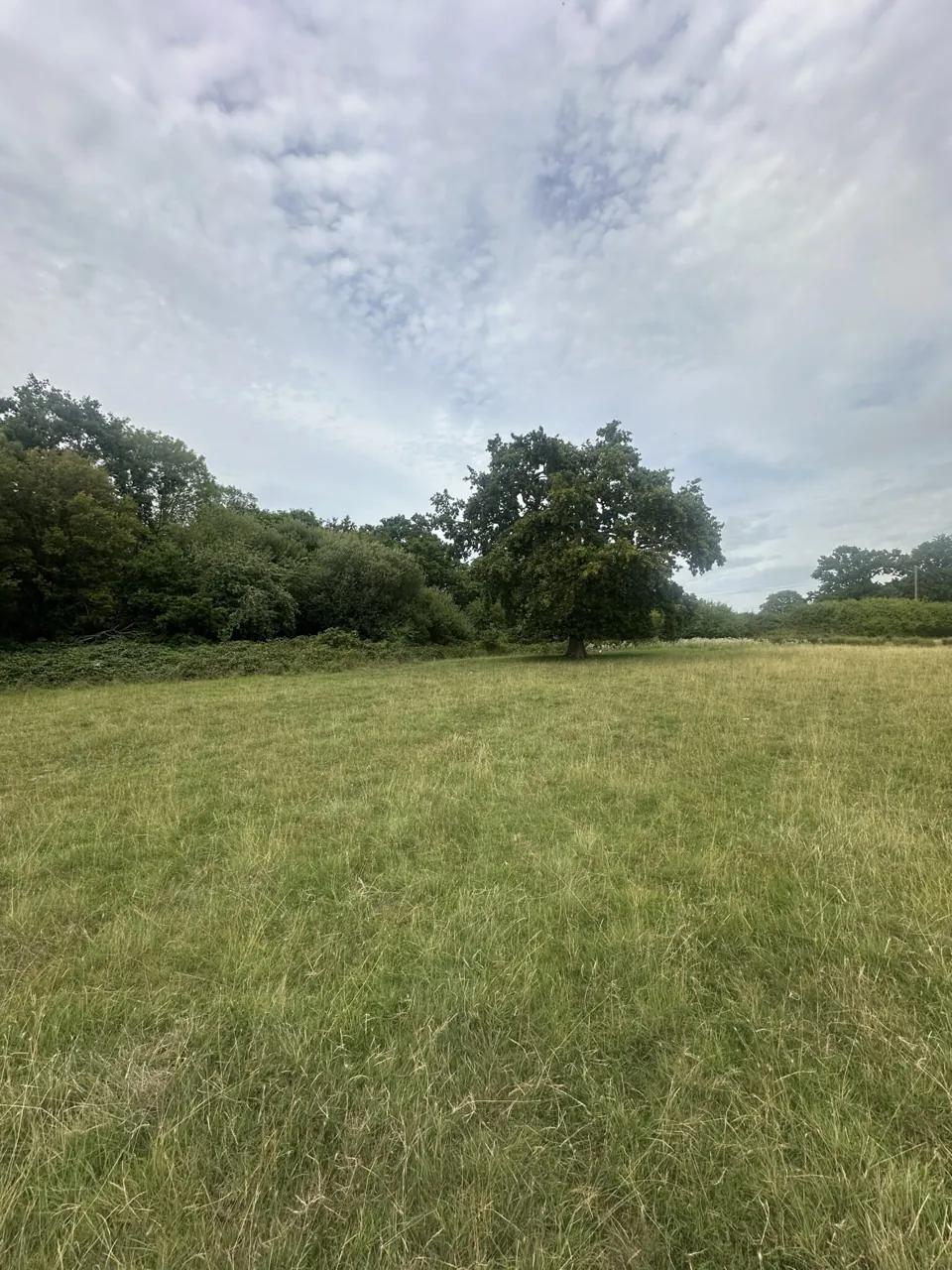 Novo development imagery