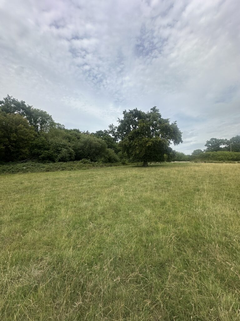 Land at Old Kettle Cottage, Edenbridge