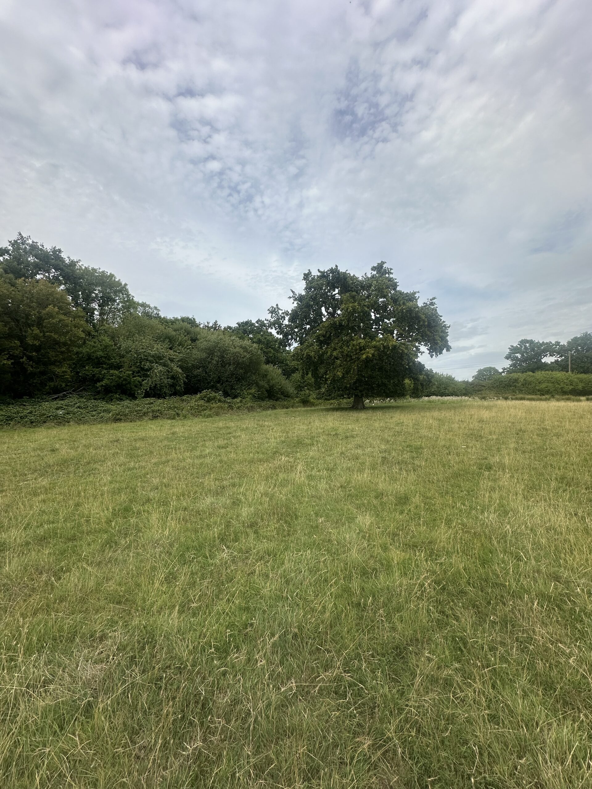 Land at Old Kettle Cottage, Edenbridge